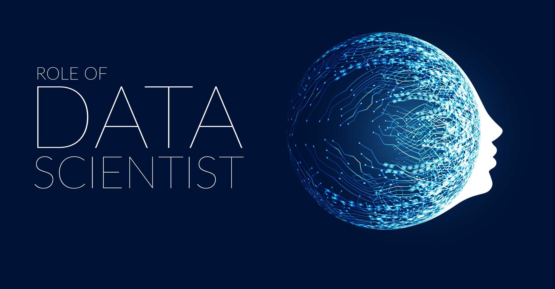 Role of Data Scientist